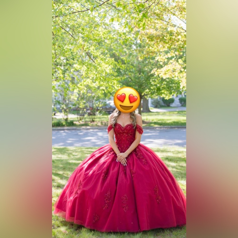 Brand new sweet 16/quinceneara dress!!